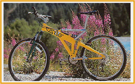 Vario Bomba annee 1996